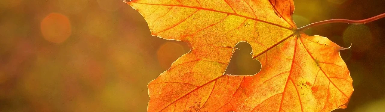 Herbstliebe